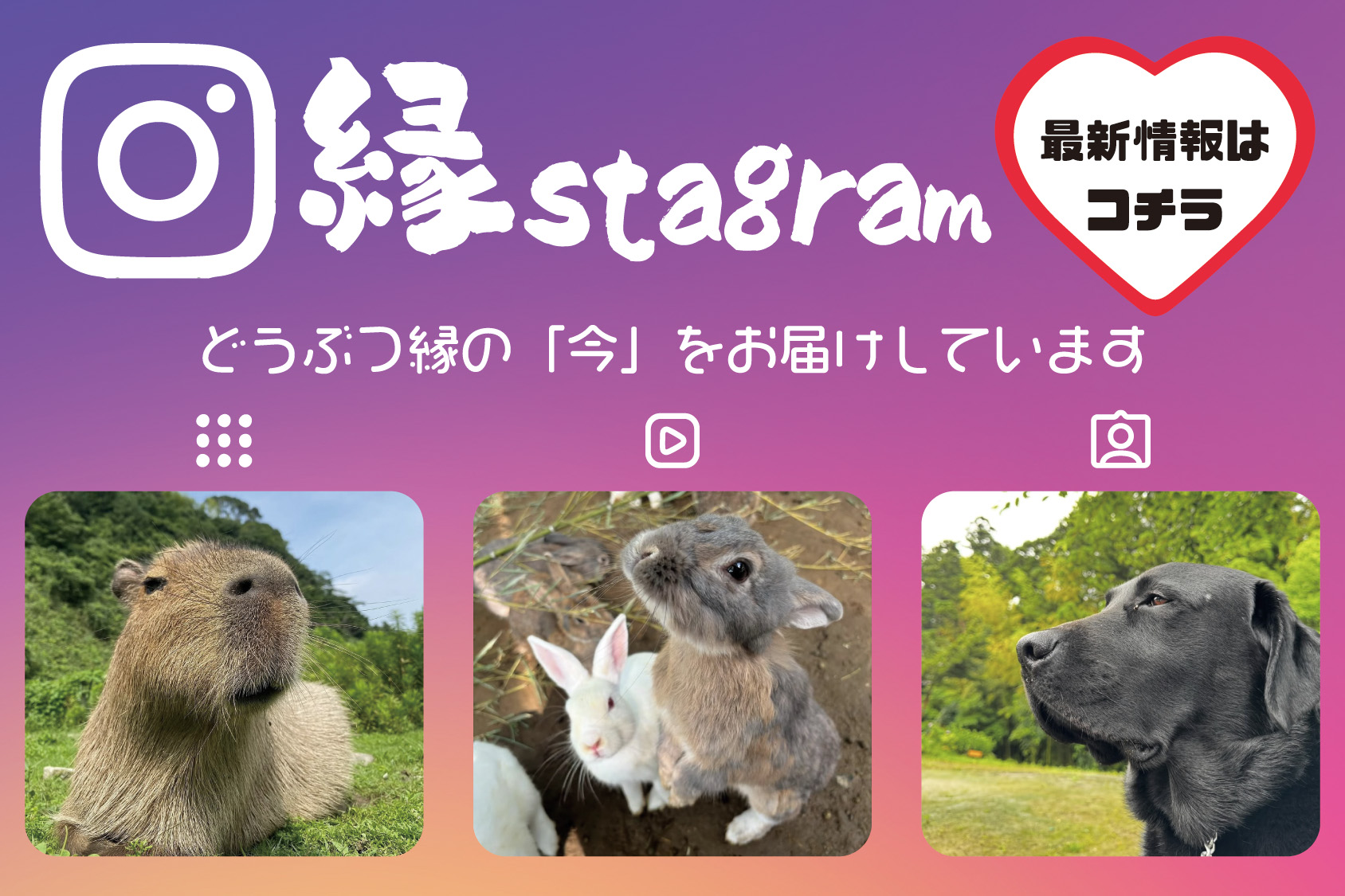 インスタグラム