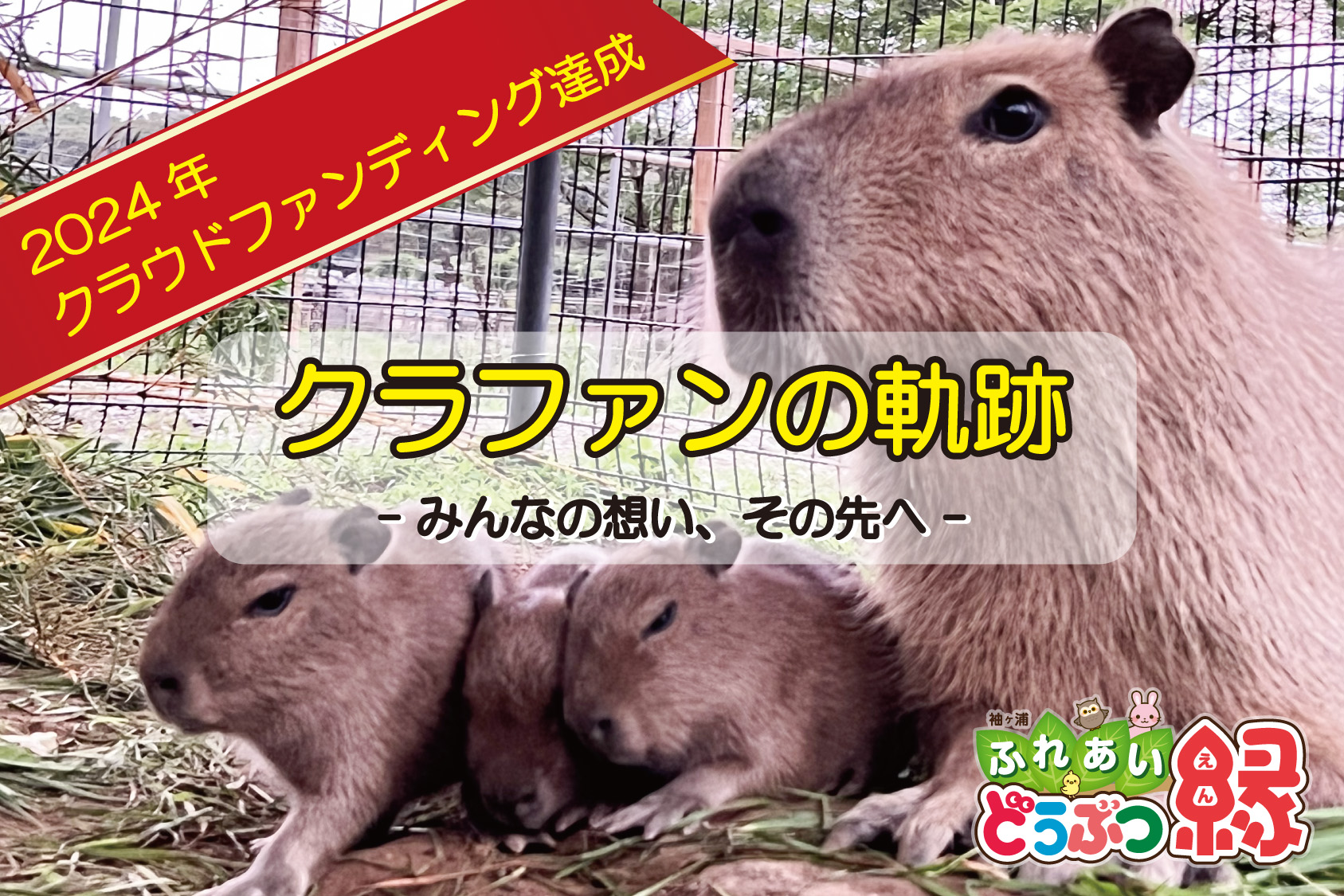 クラウドファンディング活動報告